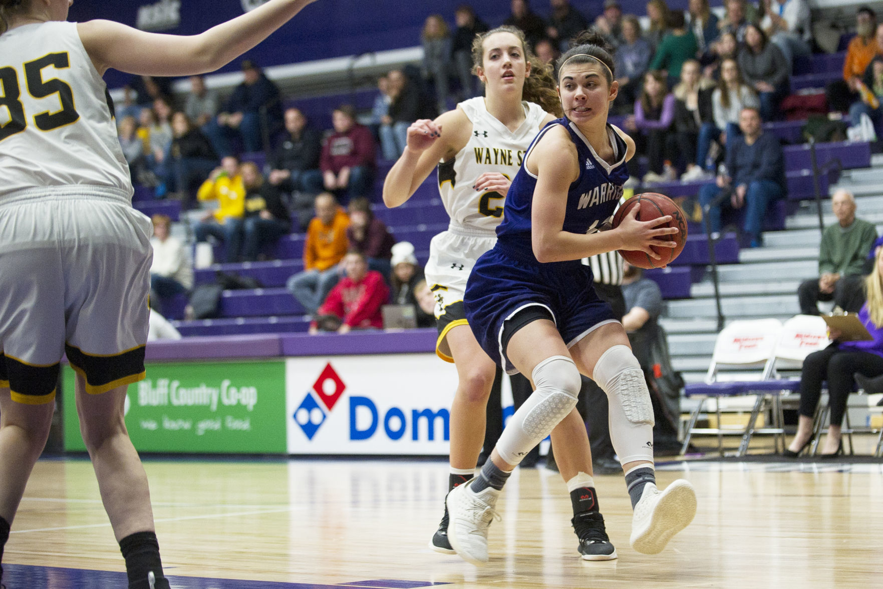 WSU v. Wayne State 10